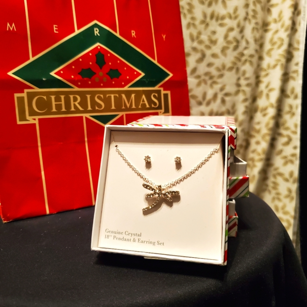 Dragonfly necklace and earrings set
